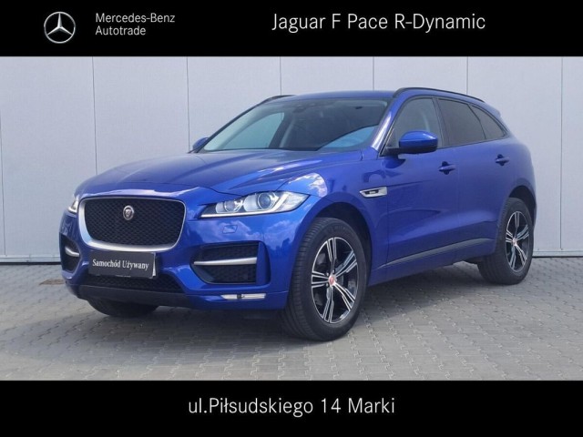 jaguar